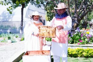 Bee Farming