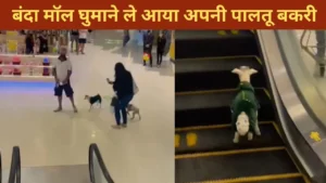 Viral Video 