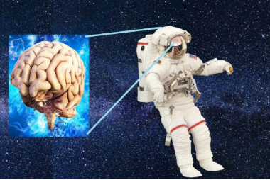 Astronauts Brain