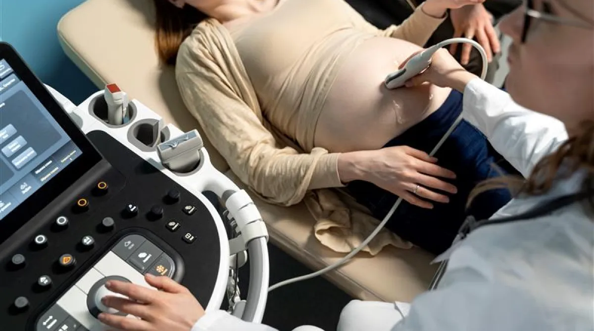 Sonography in Pregnancy 