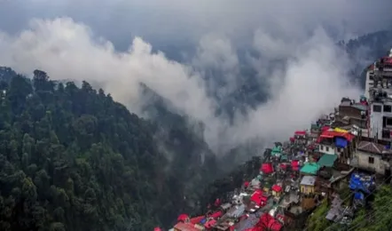 Weather Forecast Alert